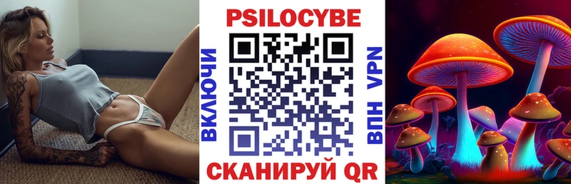 хочу наркоту  Надым  Галлюциногенные грибы Psilocybe 