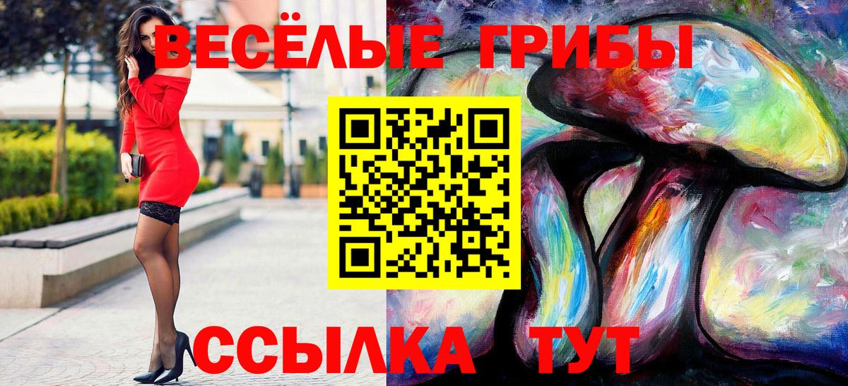 купить наркотик  Галлюциногенные грибы Psilocybine cubensis  Вход с VPN  Надым  Псилоцибиновые грибы Cubensis 