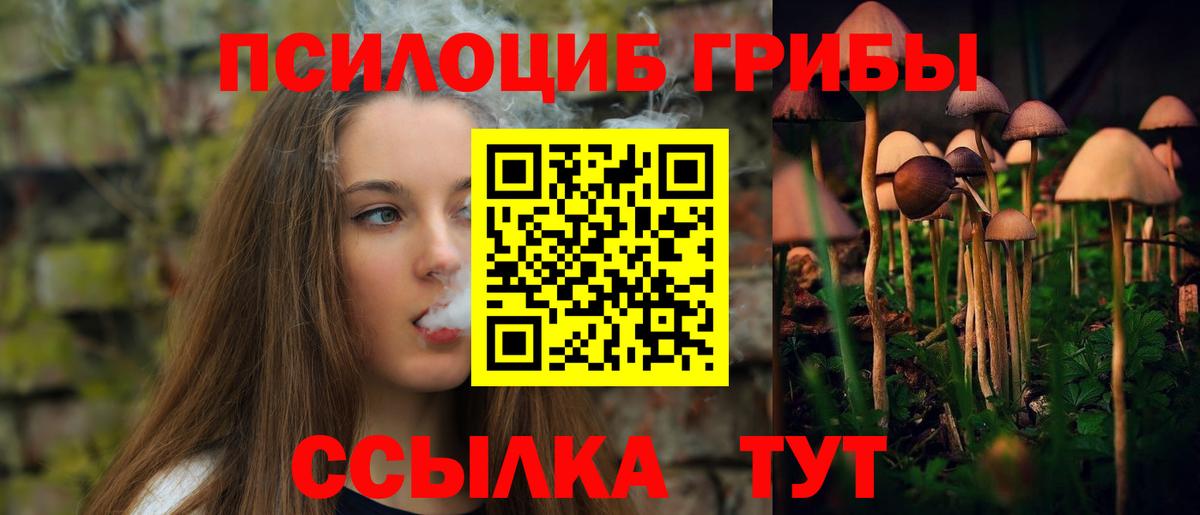 Галлюциногенные грибы Magic Shrooms Надым
