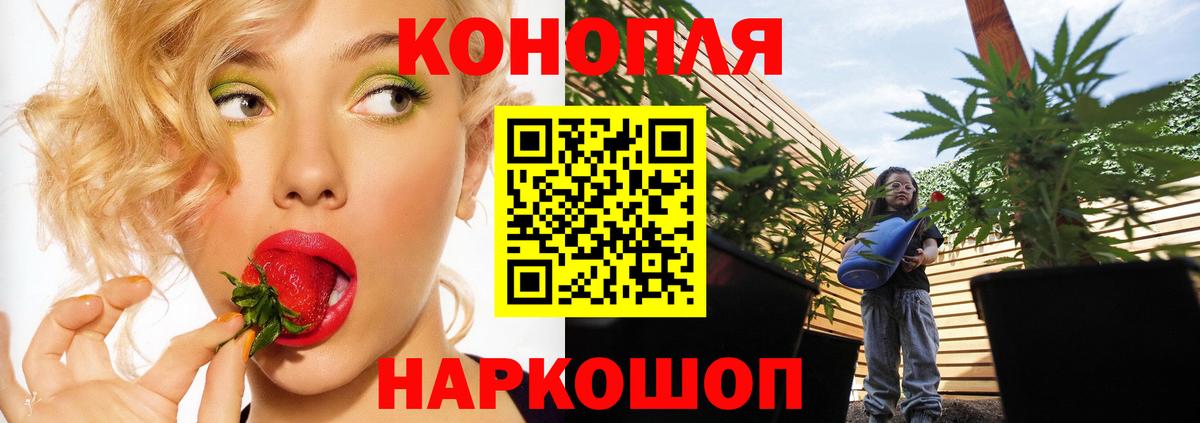 Канабис гибрид Надым